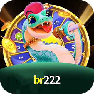 Logo da br222